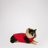 Toby Jacket for Dogs
