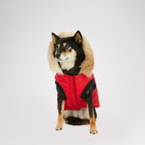 Toby Jacket for Dogs