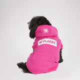 Dash Hoodie for Dogs