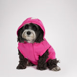Dash Hoodie for Dogs