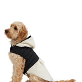 Loki Easy Fit Jacket w/Hood for Dogs