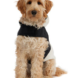 Loki Easy Fit Jacket w/Hood for Dogs