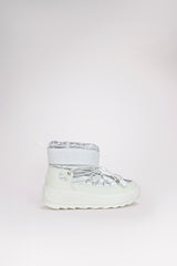 SILVER-ICE