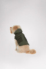 MILITARY