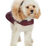 Zola Jacket for Dogs w/Faux Fur Trim