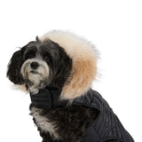 Zola Jacket for Dogs w/Faux Fur Trim