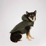 Eddie Jacket for Dogs