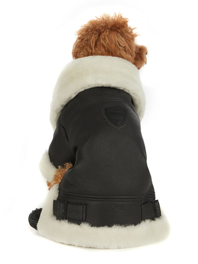 Preston Luxury Faux Shearling Coat for Dogs