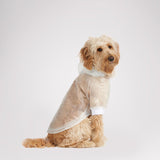 Iggy Rain Jacket w/hood for Dogs