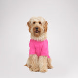 Neo reflective Rain Jacket for Dogs