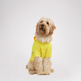 Neo reflective Rain Jacket for Dogs