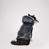 Miles Quilted Coat with reflective Visor for Dogs