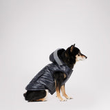 Miles Quilted Coat with reflective Visor for Dogs