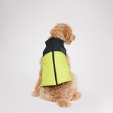 Derby Sporty Jacket for Dogs