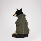 Marley Bomber Jacket for Dogs