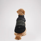 Alexis Jacket for Dogs