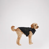Alexis Jacket for Dogs