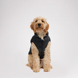 Alexis Jacket for Dogs