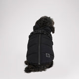 Atlas Puffer Jacket with Built-In Harness for Dogs