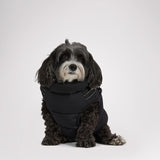 Atlas Puffer Jacket with Built-In Harness for Dogs