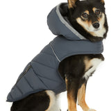 Denver Easy Fit Jacket for Dogs