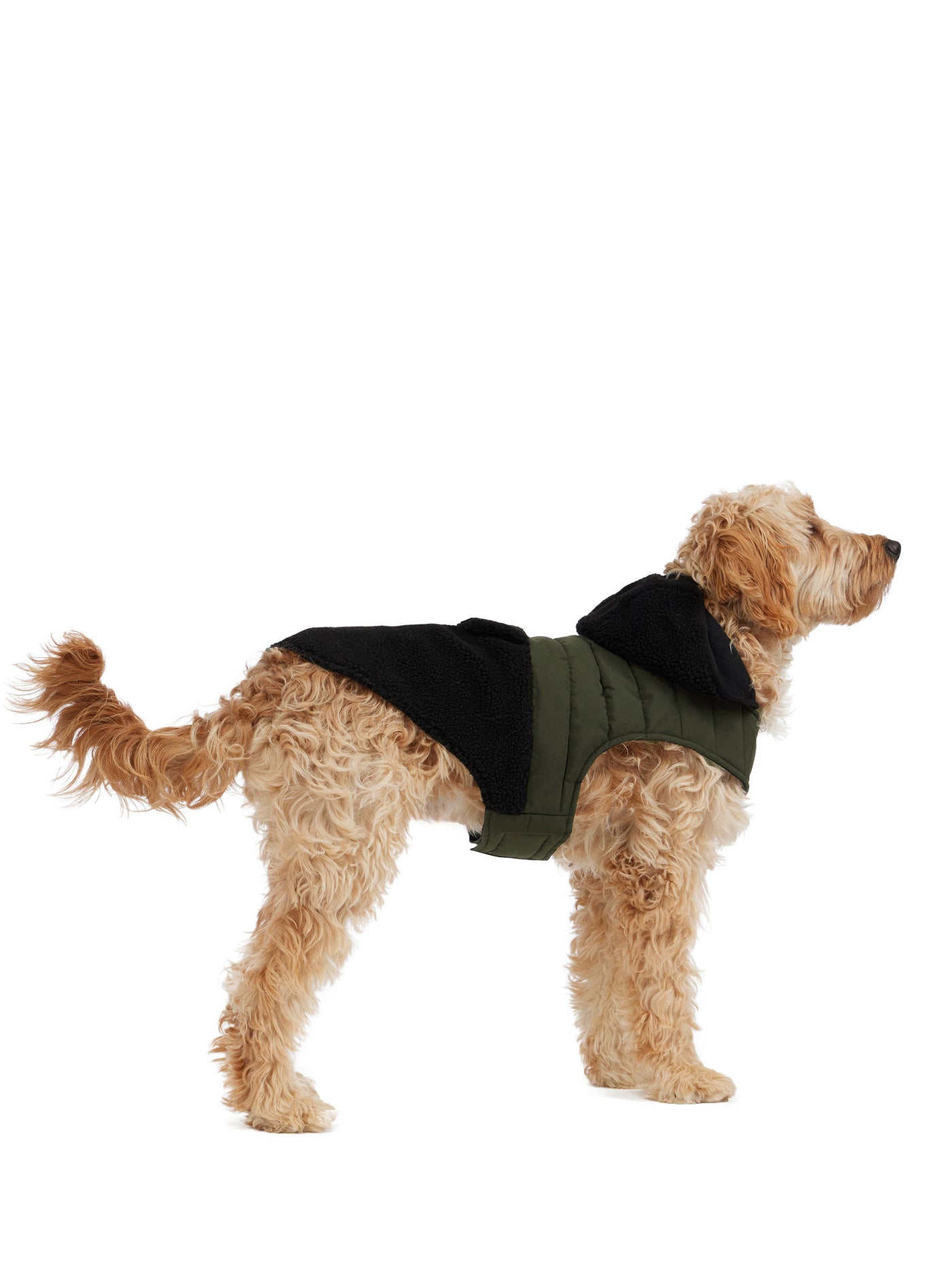 Loki Easy Fit Jacket w/Hood for Dogs | Pajar Canada