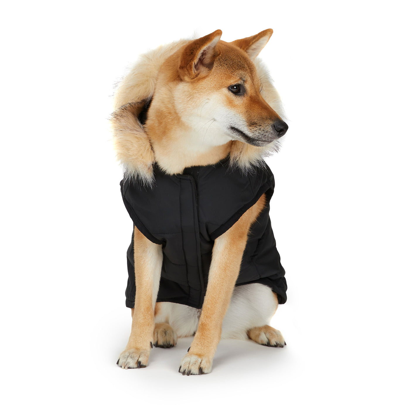 Barnard Jacket for Dogs