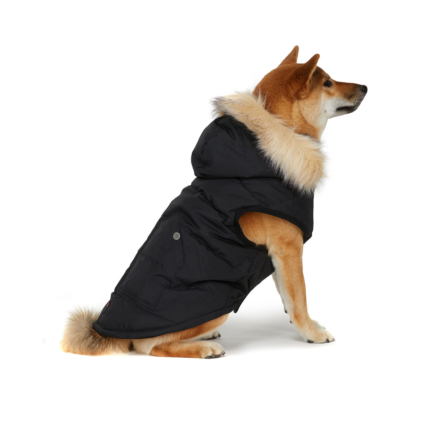 Barnard Jacket for Dogs