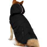 Birch Jacket for Dogs