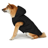 Birch Jacket for Dogs