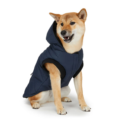 Birch Jacket for Dogs