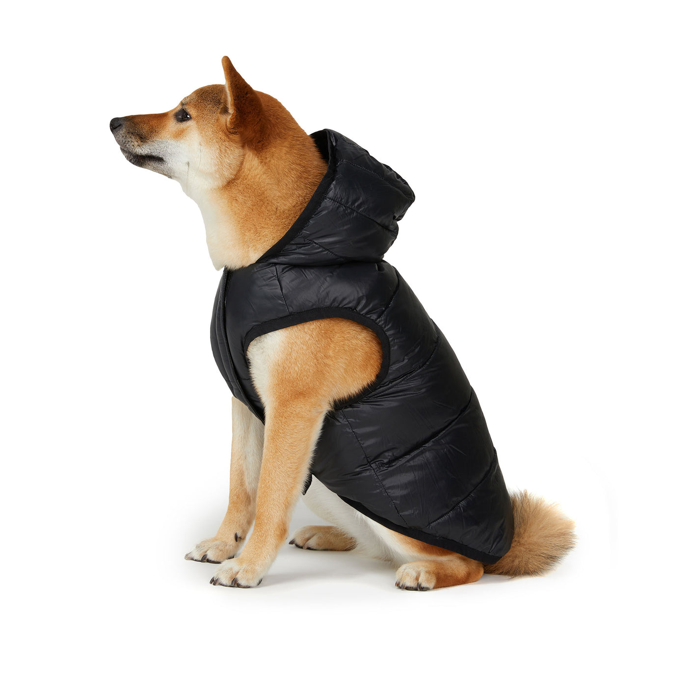 Duff Reversible Jacket for Dogs