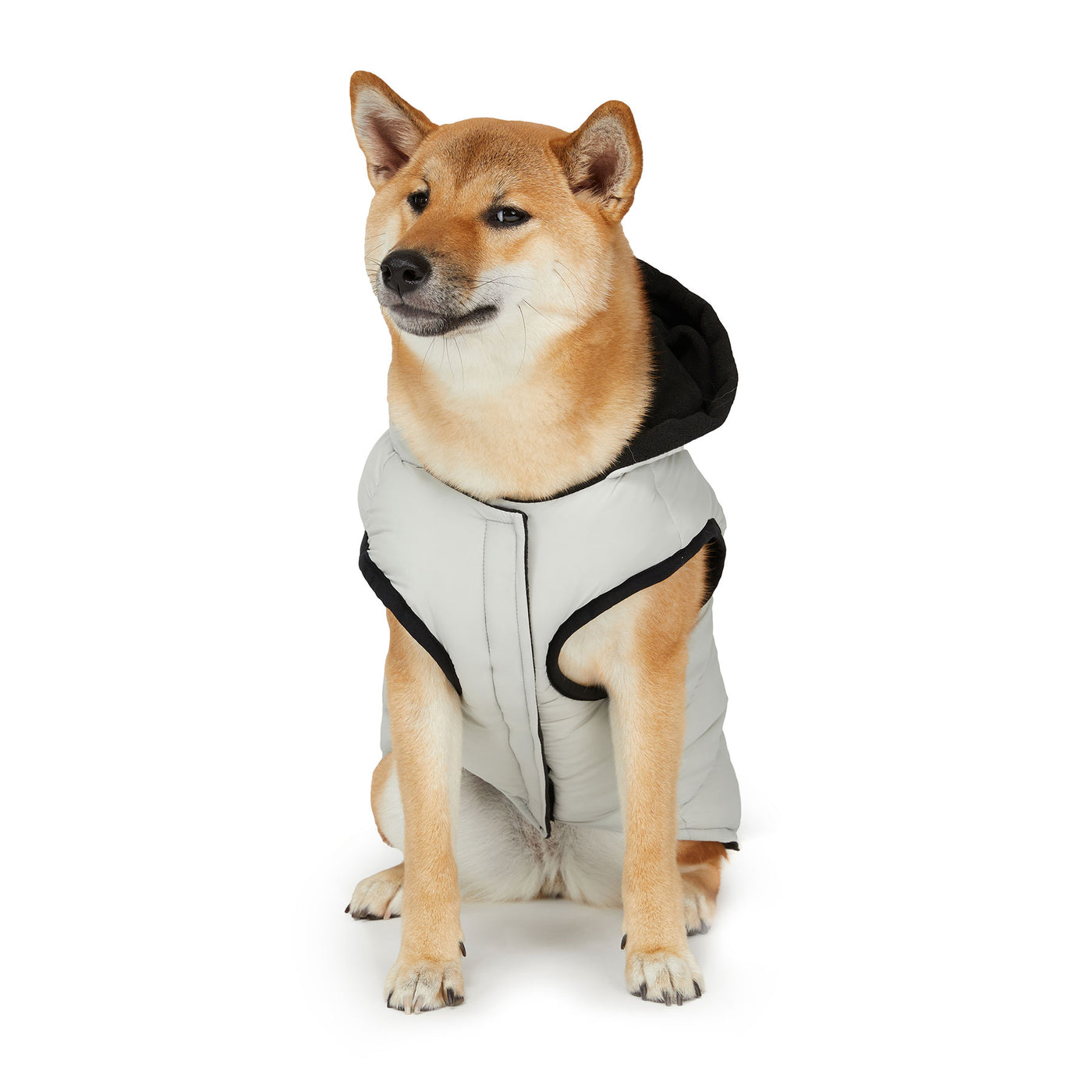 Duke Jacket for Dogs