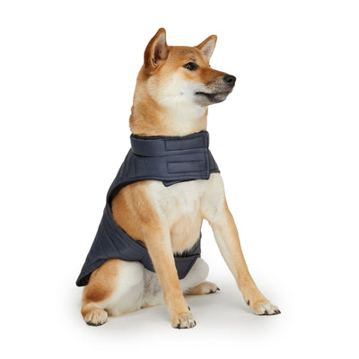 Spencer Jacket for Dogs